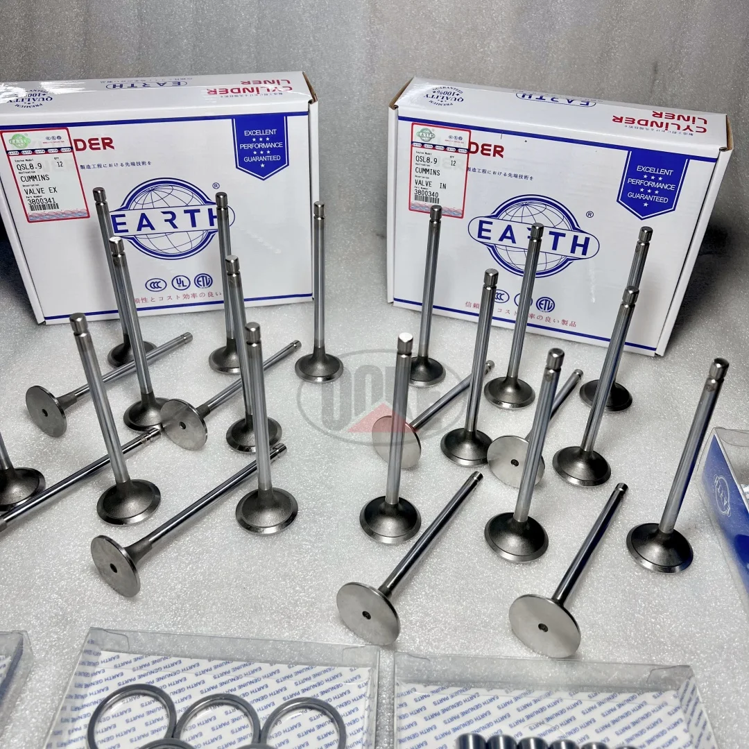 Factory Price Earth Brand Engine Spare Parts QSL8.9 Engine Overhaul Repair Kit Liner Kit Full Gasket Kit for Cummins Engine