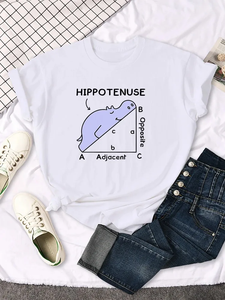 Hippo sleeping in math problem print Kawaii street Hip hop fashion street wear trend summer men women universal crew-neck Tshirt