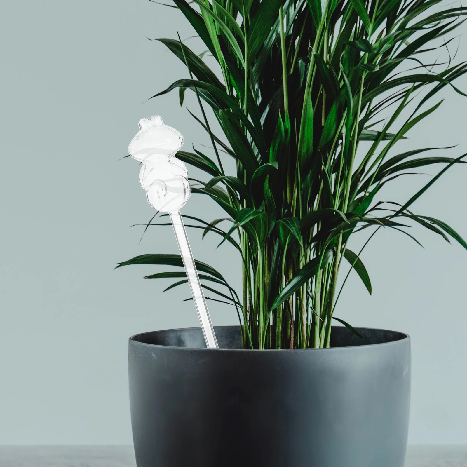 

2Pcs Transparent Glass Bulbs for Automatic Plant Irrigation System Self Spikes for Flower Pots Yard Home