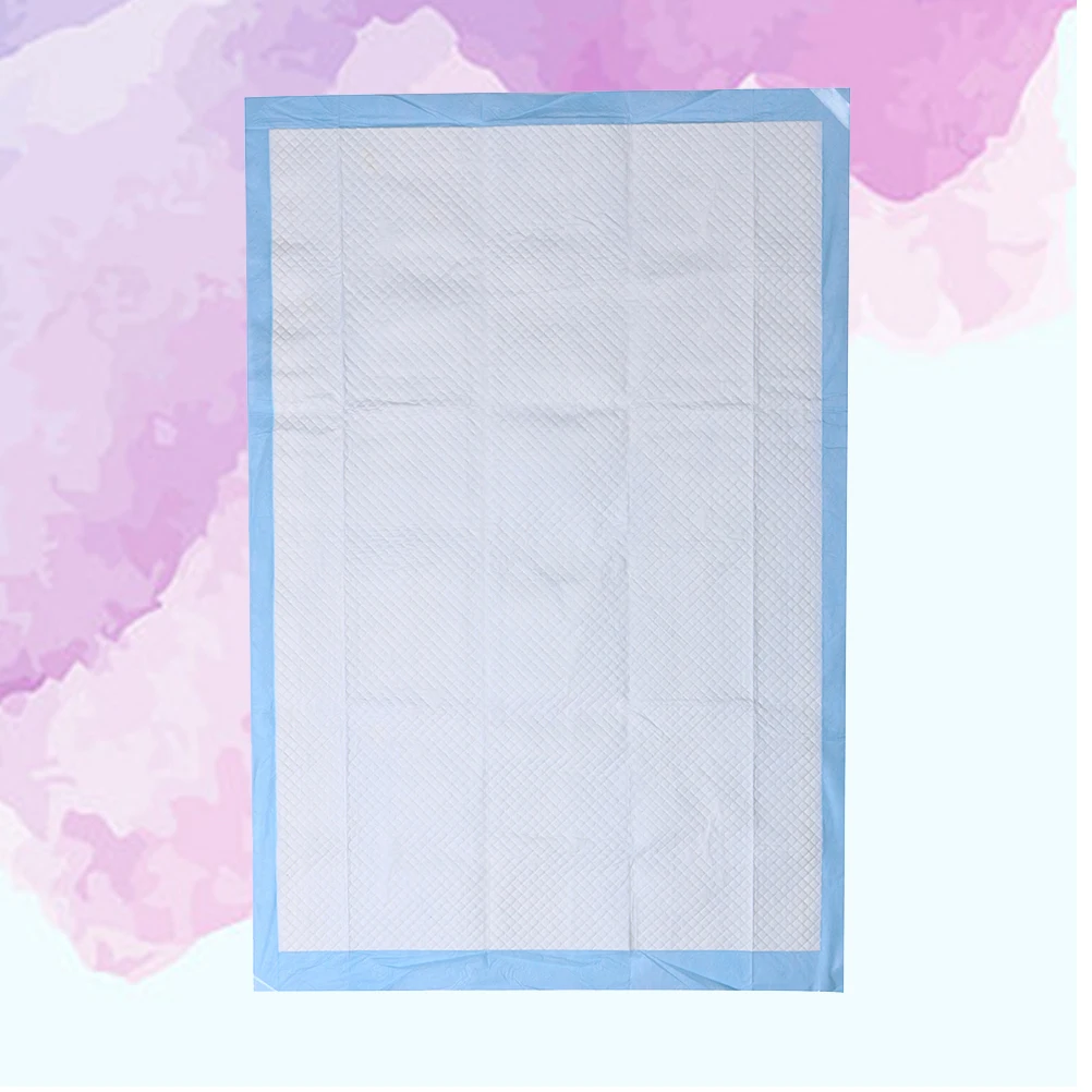 

20Pcs Pet Training Urine Pad Super Absorbent Quick-Dry Antibacterial Deodorant Puppy Pads for Dogs Indoor Use Training Dog