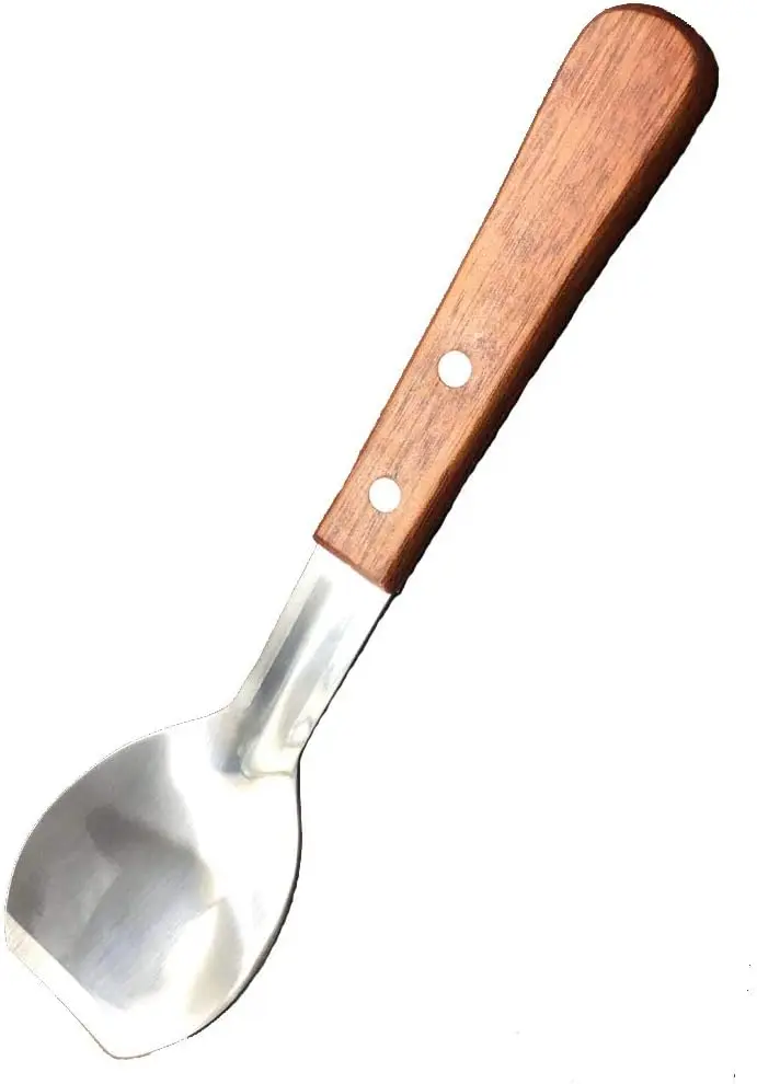 

Stainless Steel Ice Cream Scoop & Cake Scraper, 9-Inch Large Kitchen Tool for BBQ, Wedding Buffet