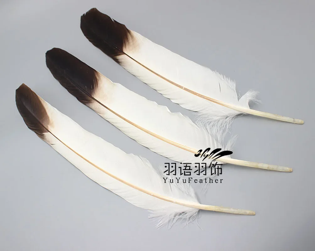 1 pz Rare Eagle Feather Bow and Arrow Feather Rare Horse Eagle Feather artigianato campione piuma piume naturali