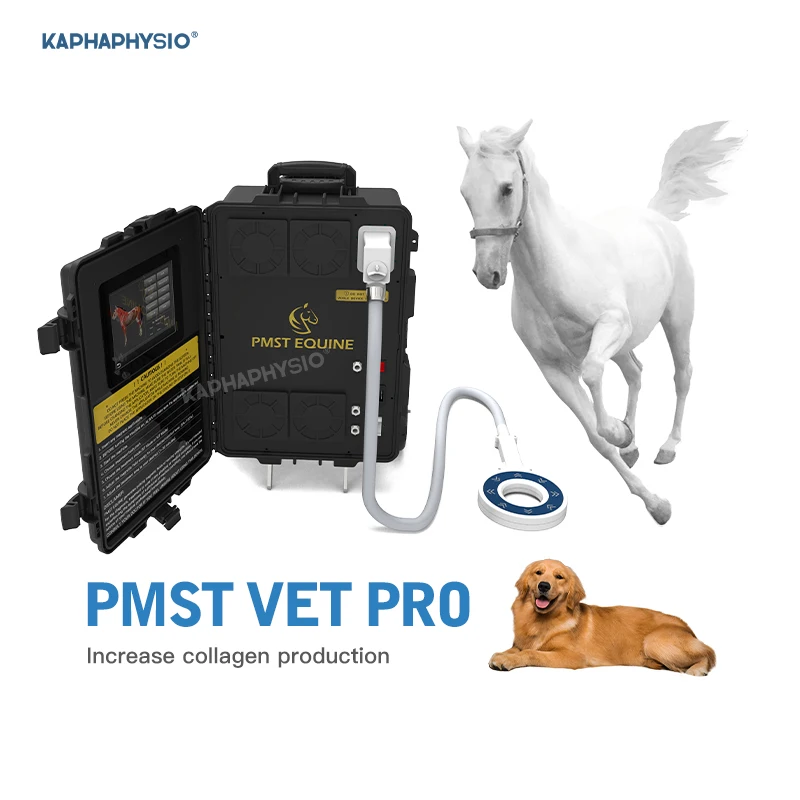 

PMST Equine 4 Tesla Magneto Therapy Horse Treatment Muscle Relaxaction Equipment