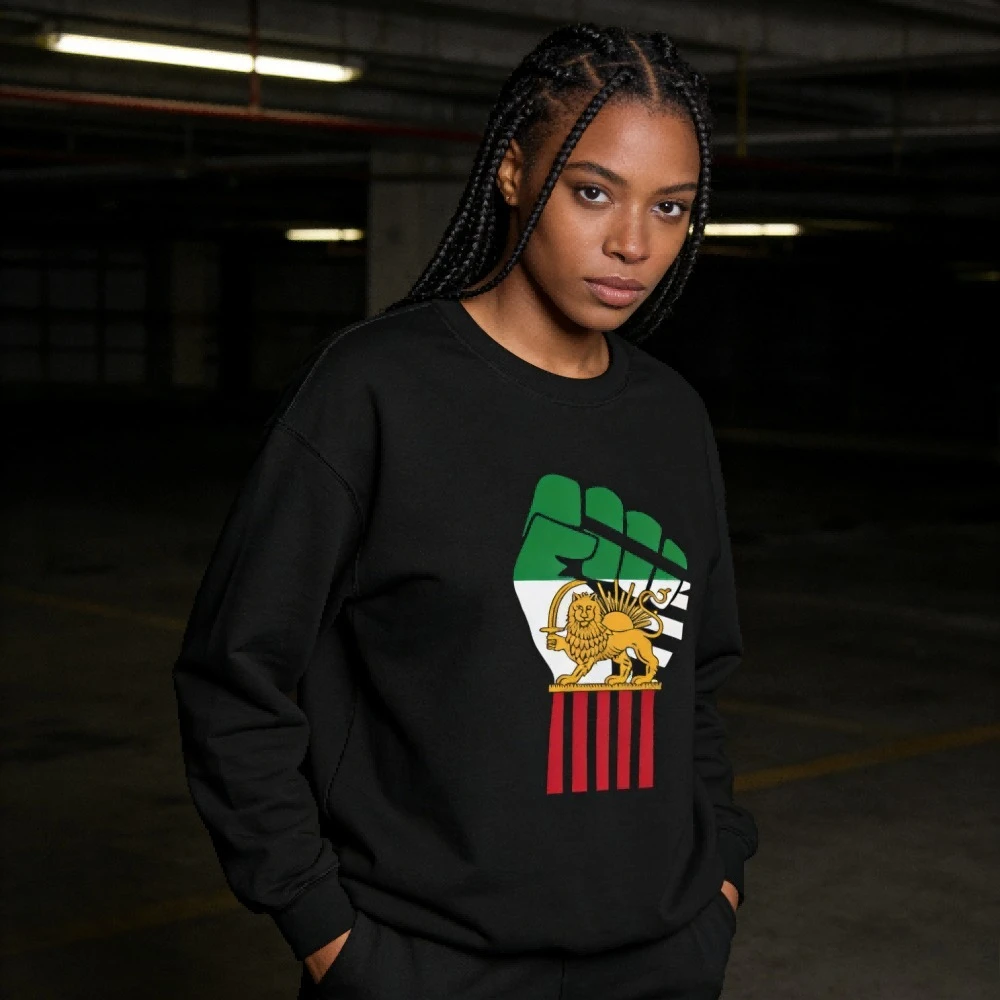 

Иранский свитшот с изображением льва и солнца, принт с персидской символикой и кулаком, одежда с графическим принтом, уличная мода для мужчин и женщин, пуловер