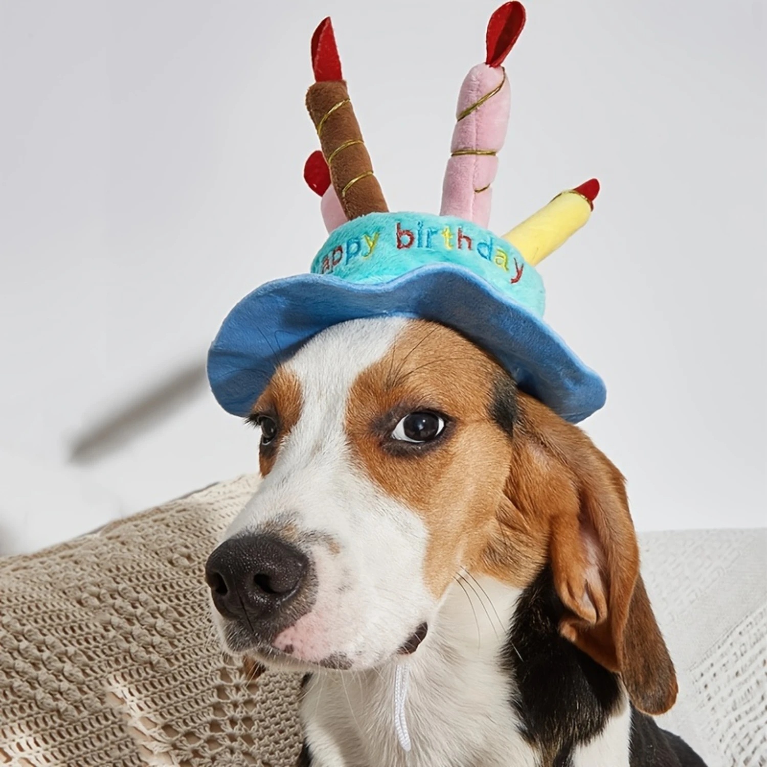 Pet Birthday Hat for Dogs & Cats - Fun Photo Prop and Costume Accessory for Celebrating Your Furry Friend's Special Day!