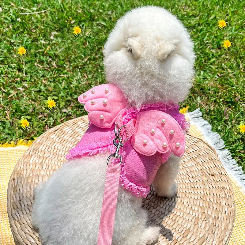 Arnés con ala de Ángel PERLA para perro, malla transpirable, conjunto de correa para perros pequeños, gato, cachorro, Collar de pecho, accesorios