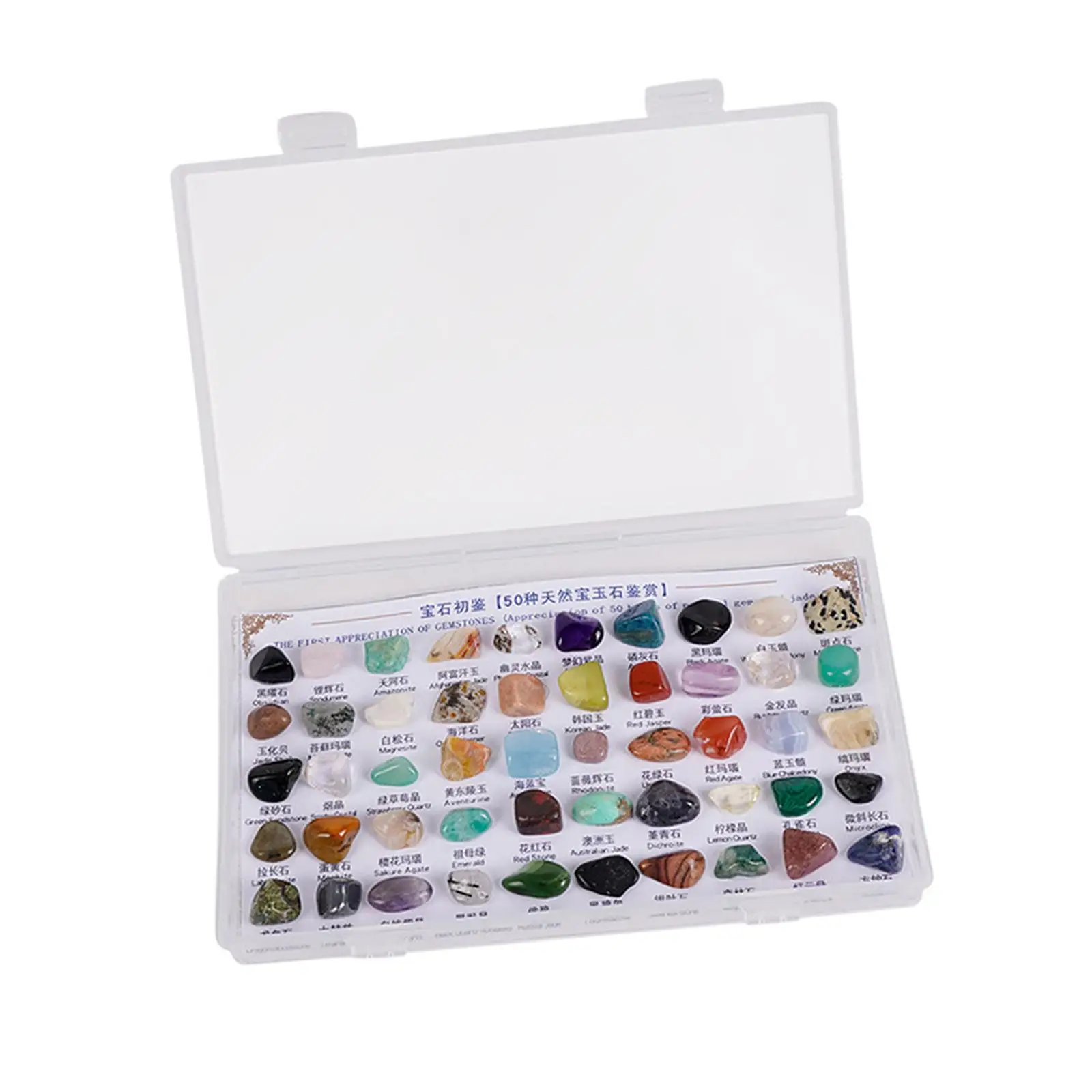 50 Pieces Rough Stones, Mineral Rocks, Children's Geological Stones Collection for Gift