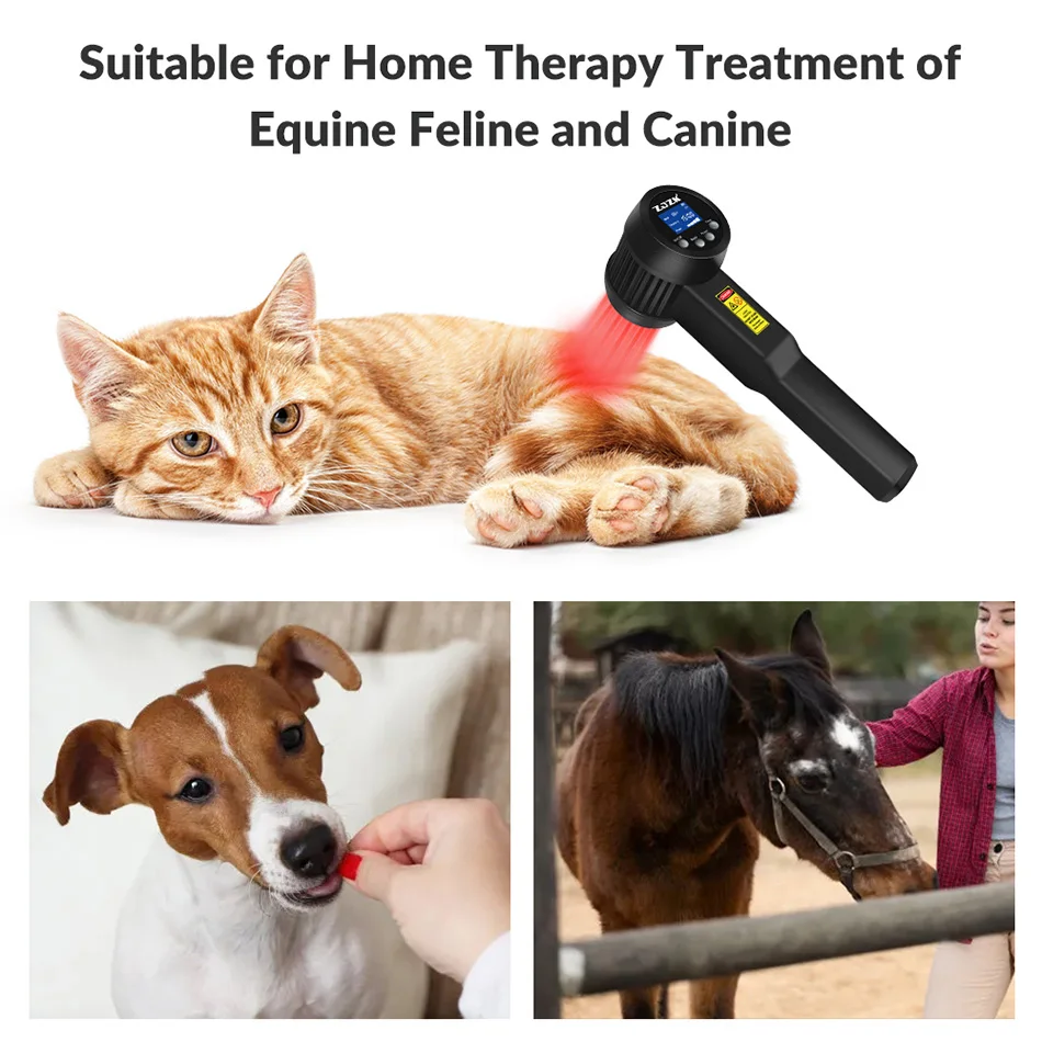 Vet Laser Therapy Machine for Horses Dog Use to Reduce Pain & Repair Tissue Diminish Inflammation 5W 808nmx15+650nmx10 25 Diode