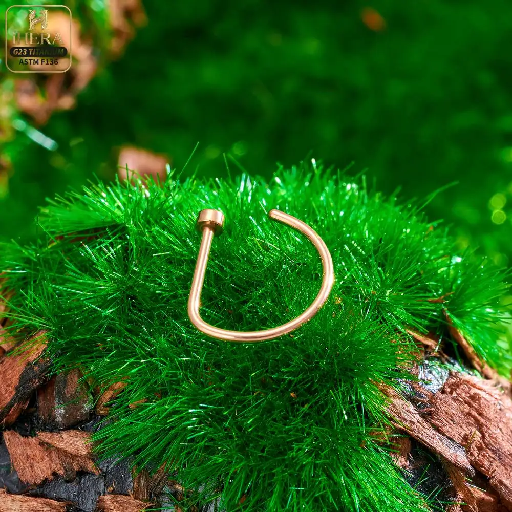 1/10PCS ASTM F136 Titanium Fake Nose Ring Hoop Non Piercing D Shape Nostril Lip Septum Earring Body Jewelry Kit