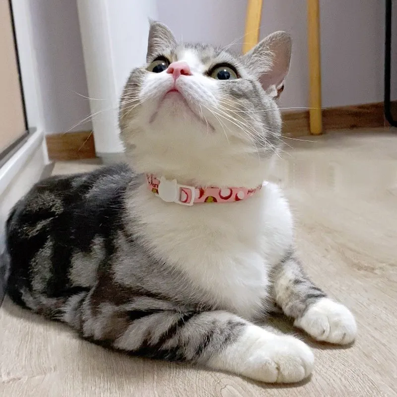 Adjustable Fruit Christmas Printing Pet Collar Breakaway Cat Dog Collar with Safety Buckle Collar Bell Puppy Kittens Necklace