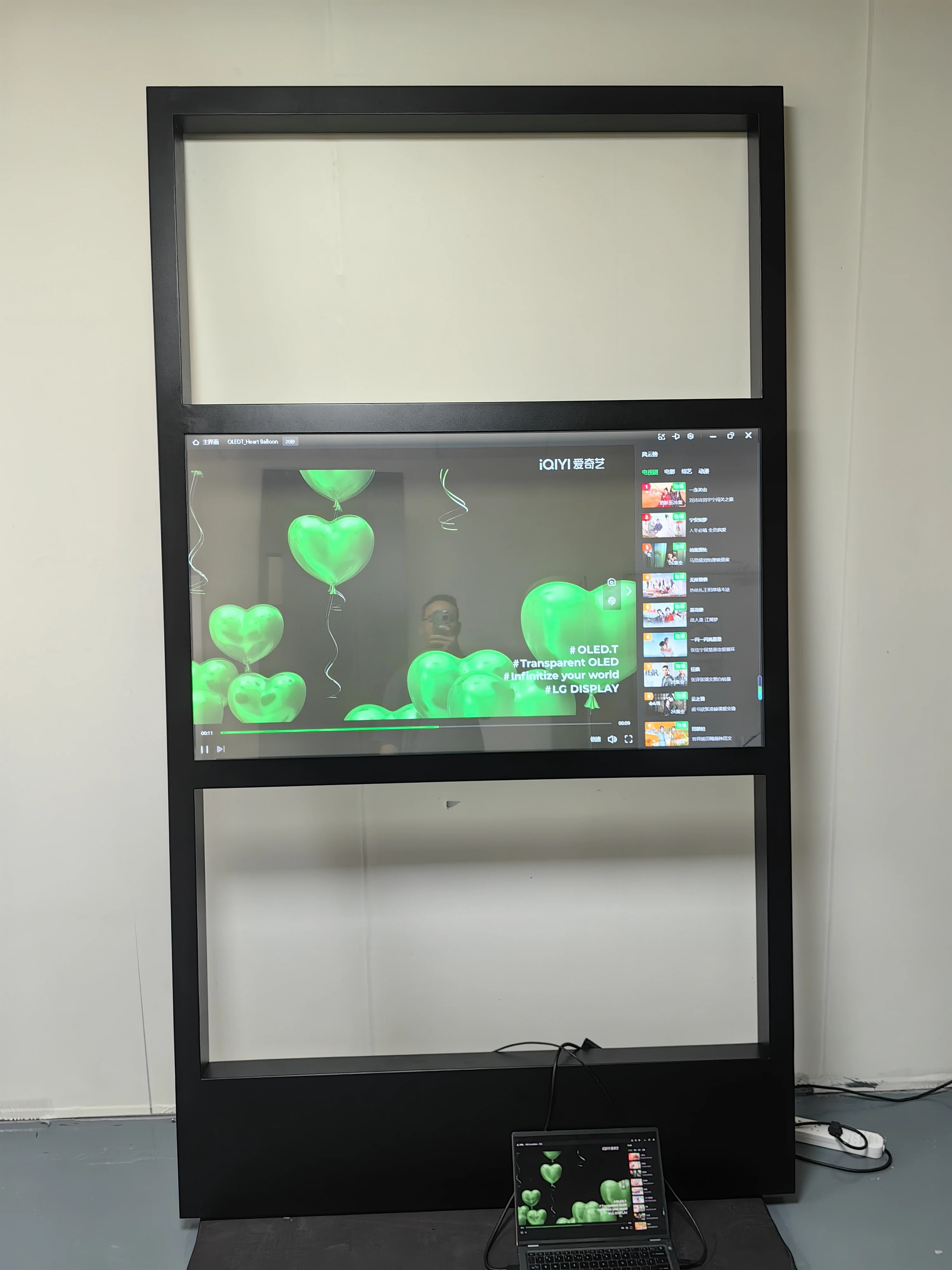 Various Styles 55 Inch Transparent Organic Light Emitting Diode Screen Organic Light Emitting Diode TV