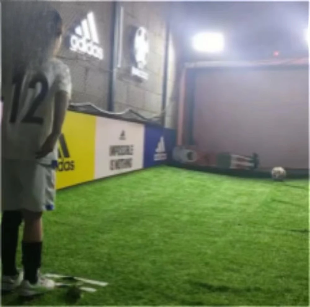 Cheap Modern Football Field Simulation Simulator Indoor Football Robot Keeper