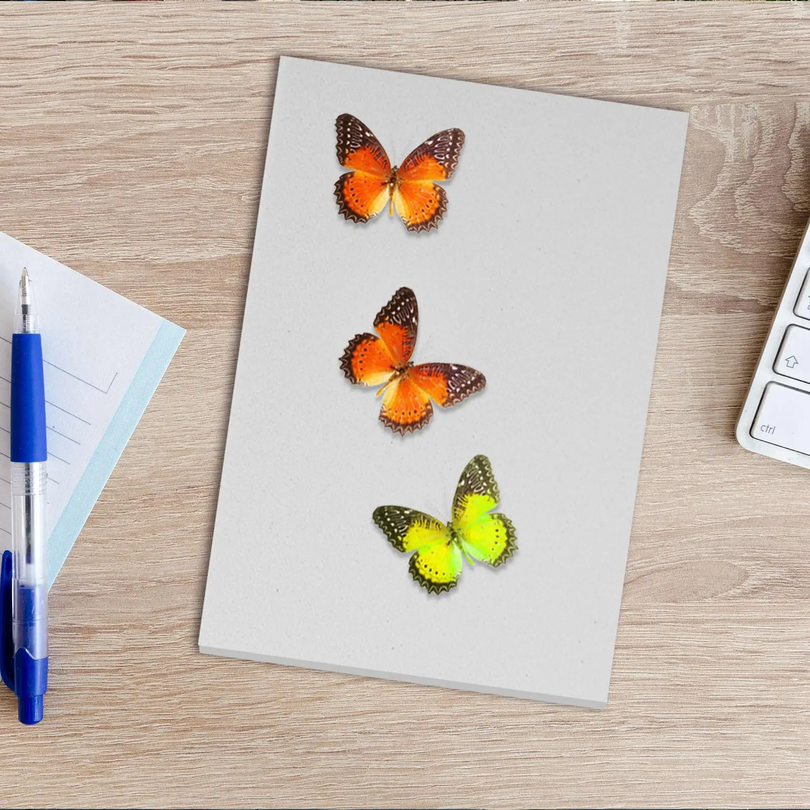 3 Pcs Pinning Board 205X141X10 Insect Specimen Display Spreading Tools Entomology Kit EVA Efficient Design Butterfly