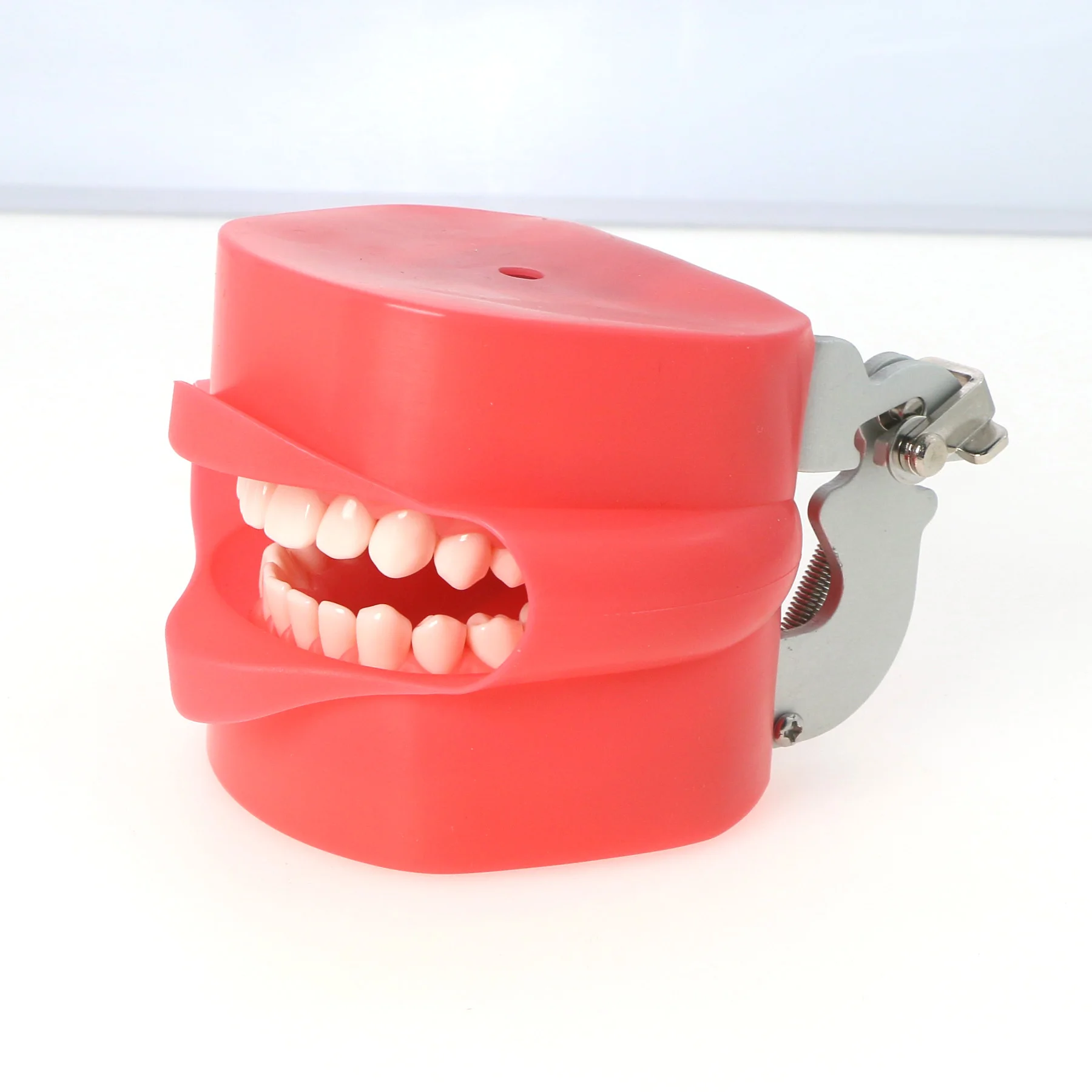 Dental Rubber Simulation Cheek Soft fit Kilgore NISSIN 200/500Type Teeth Model  MP