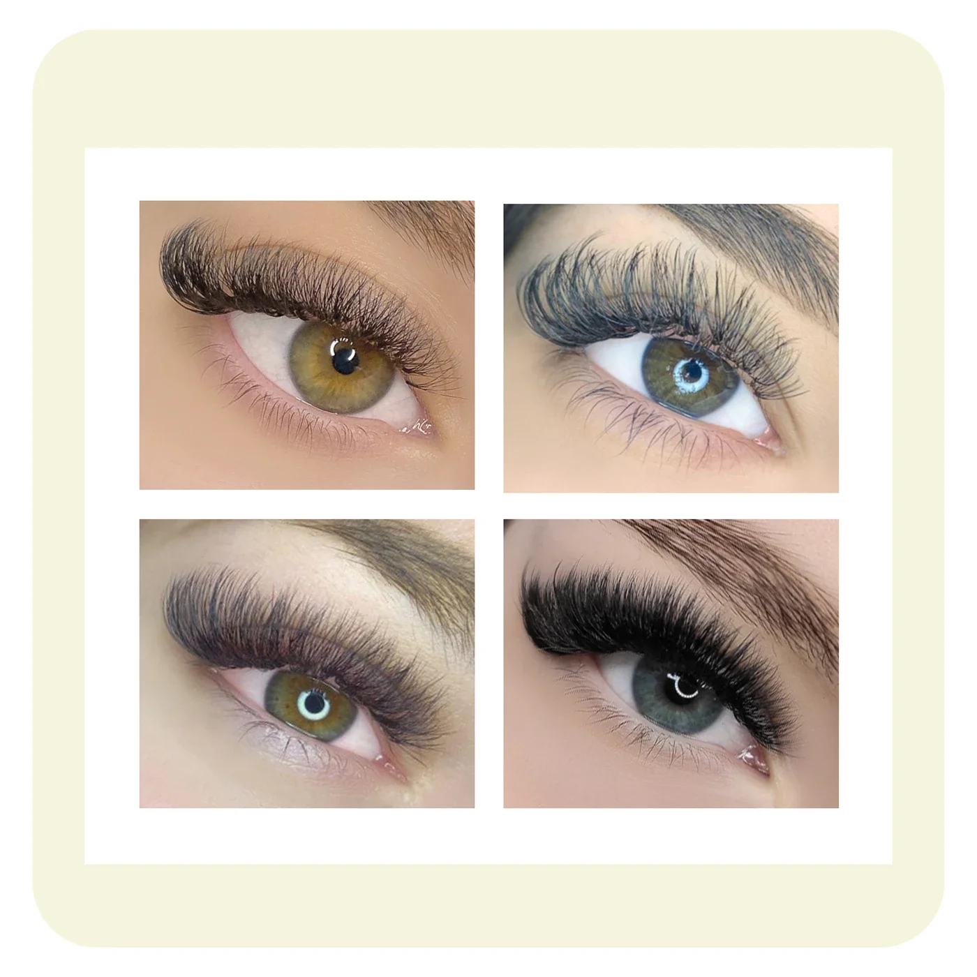 ANNAFRIS Premade Volume Fans Lash Extension 3D 4D 5D 6D 8D 10D Short Root Pre Made Individual   Eyelash Extension Faux Mink