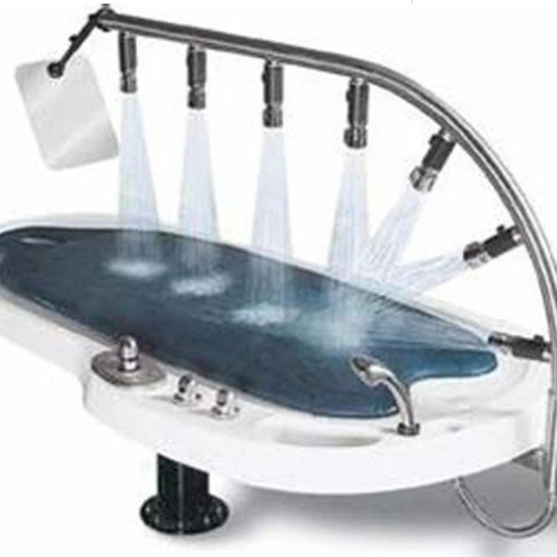 Hydrotherapy back wate massage saltbath bed