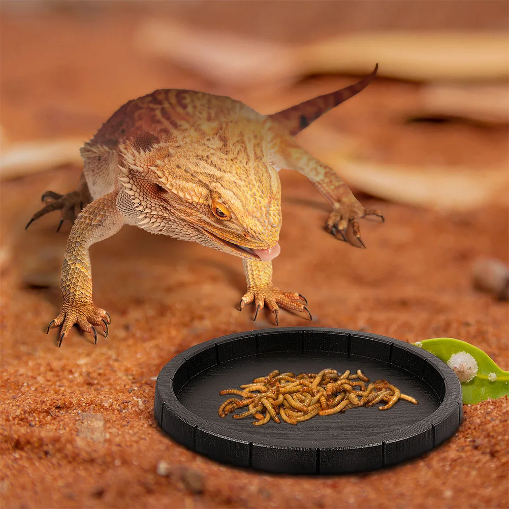 

Lizard Food Pot Reptile Dish Plastic Worm Feeder Animal Water Bowl Terrarium Pet Gnaw Proof Durable Hygienic Safe Smooth Compact