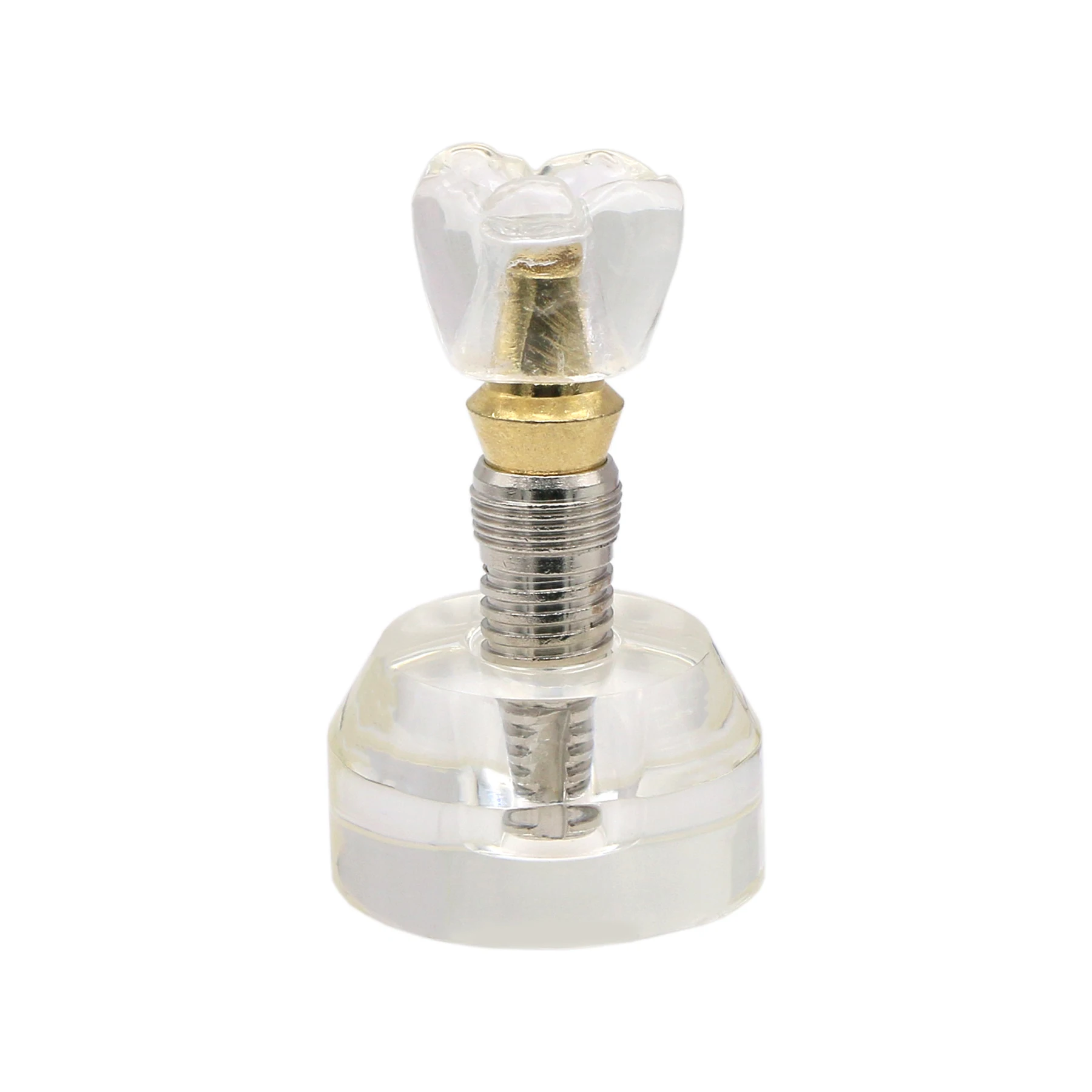 Dental Implant Demo Model Abutment Detachable Stand/implant/ Crown Clear Acrylic M2020