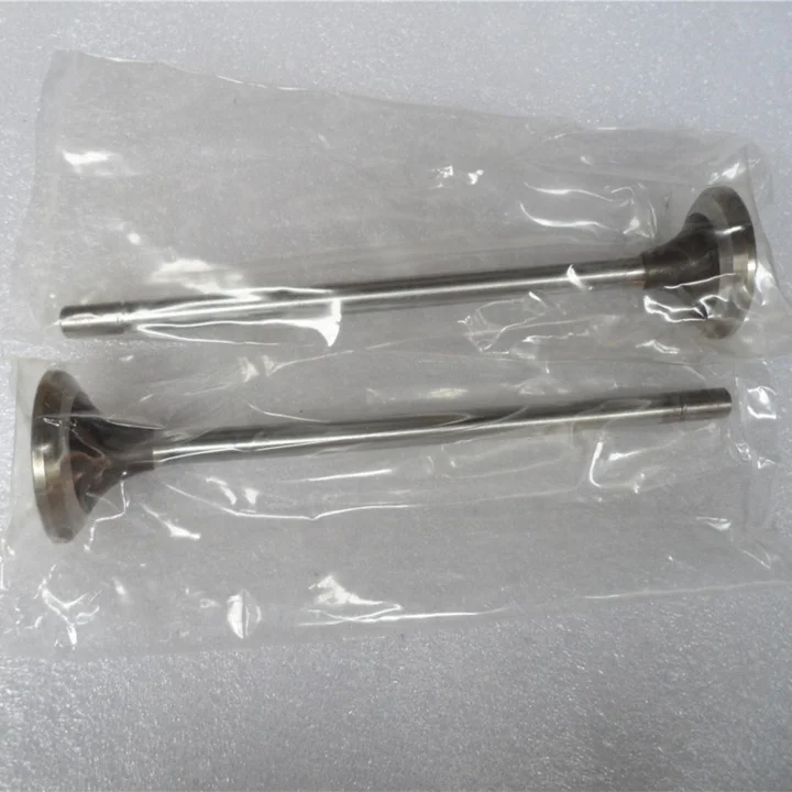 ISX15 QSX15 Intake Valve 4965868 3685996 for Machinery Diesel Engine Parts
