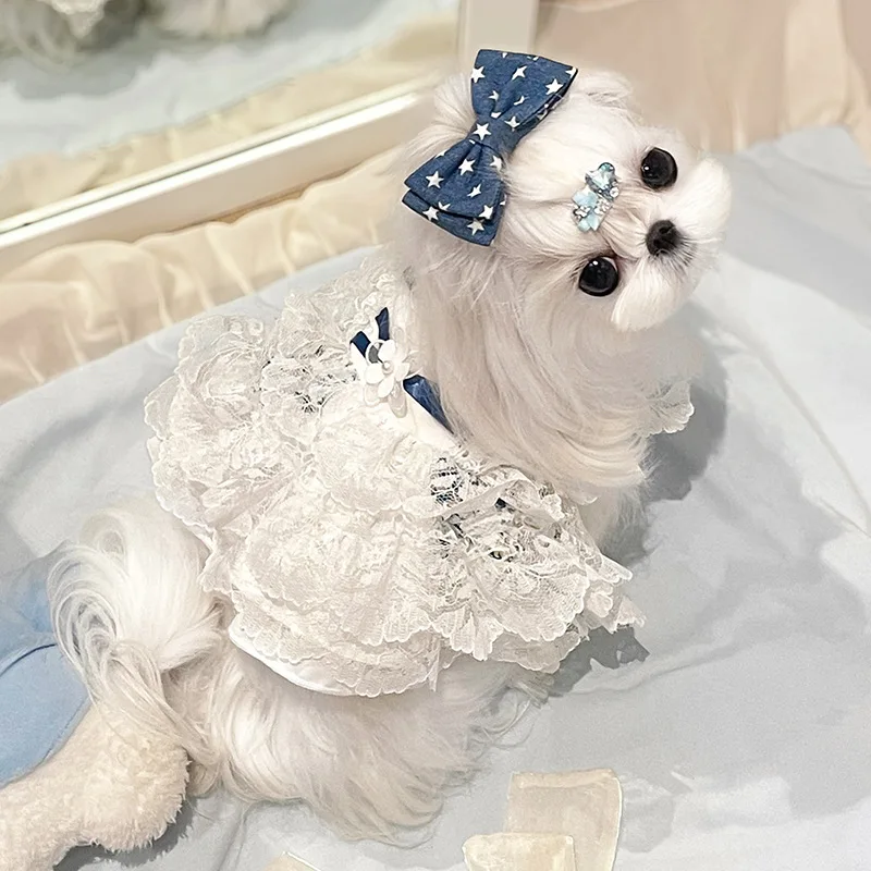 

Luxurious Court-Style Lace-Trimmed Classic Elegant Pet Clothing French Court Dog Princess Dress