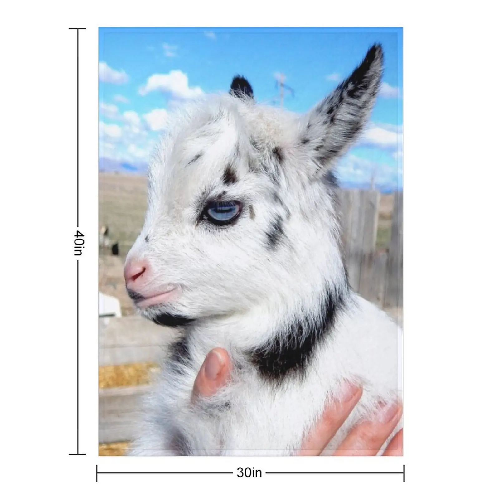 blue eyed goat Throw Blanket halloween Fashion Sofas cosplay anime Flannel Blankets