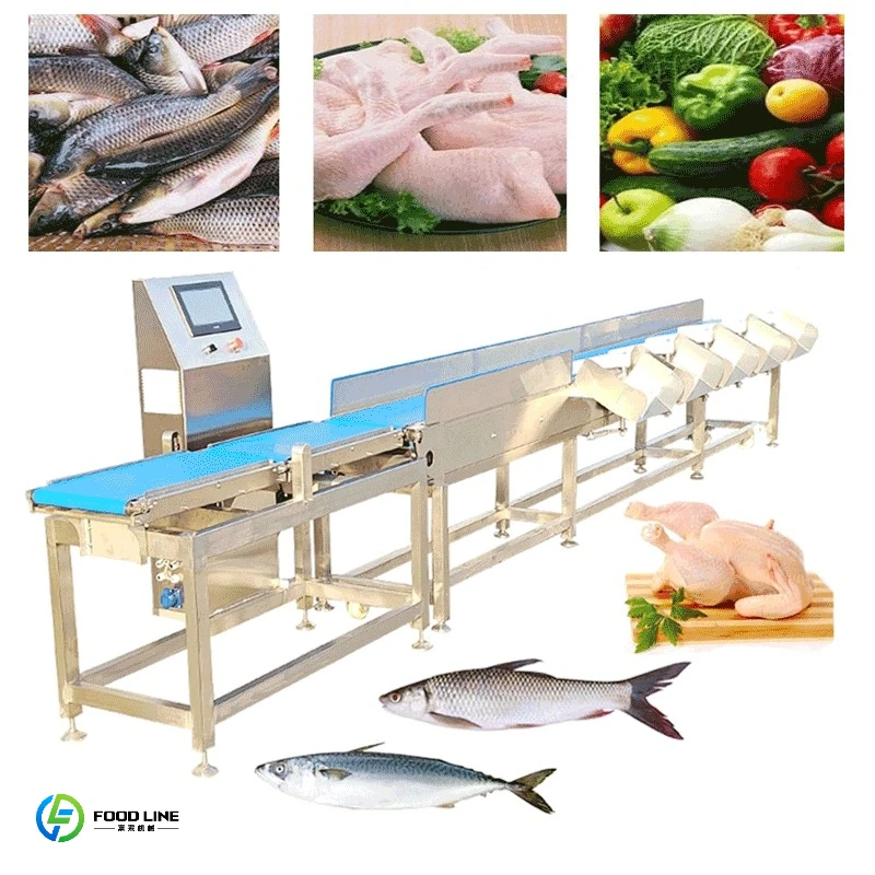 Food Grade Stainless Steel Fish Shrimp Meat Automatic Weight Grading Machine