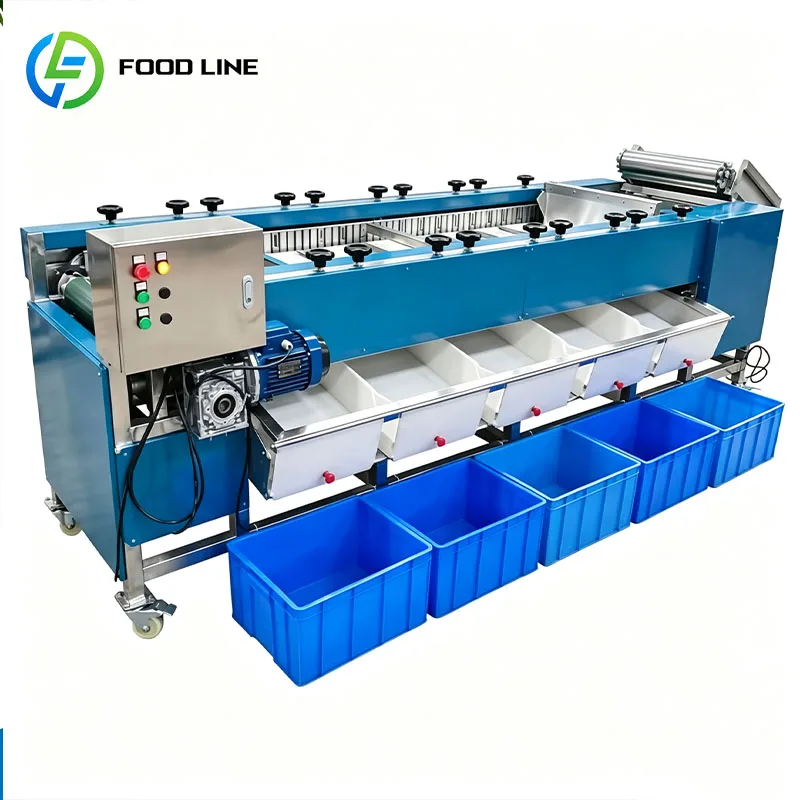 Fruit Grading Machine Vegetable Sorting Machine Produce Grader for Onion Potato Tomato Carrot Customized