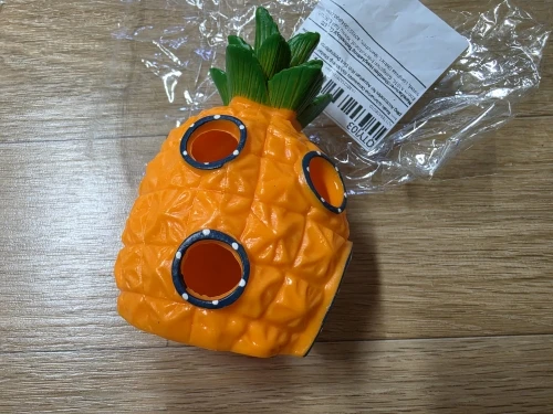 실물 포토 리뷰