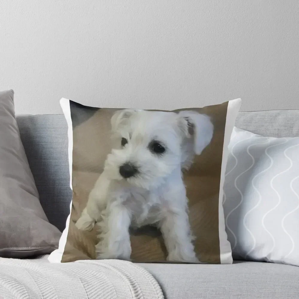 

White Schnauzer Puppy Throw Pillow Pillowcases Bed Cushions Couch Cushions Sofas Covers Decorative Cover For Living Room pillow