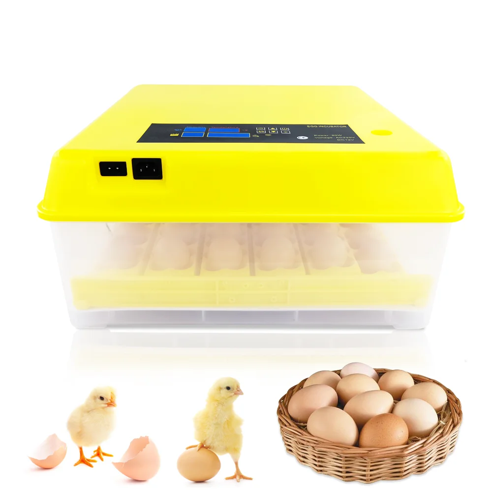 High Quality Cheap Price 36 Capacity Automatic Mini Egg Incubator, Mini Eggs Hatcher