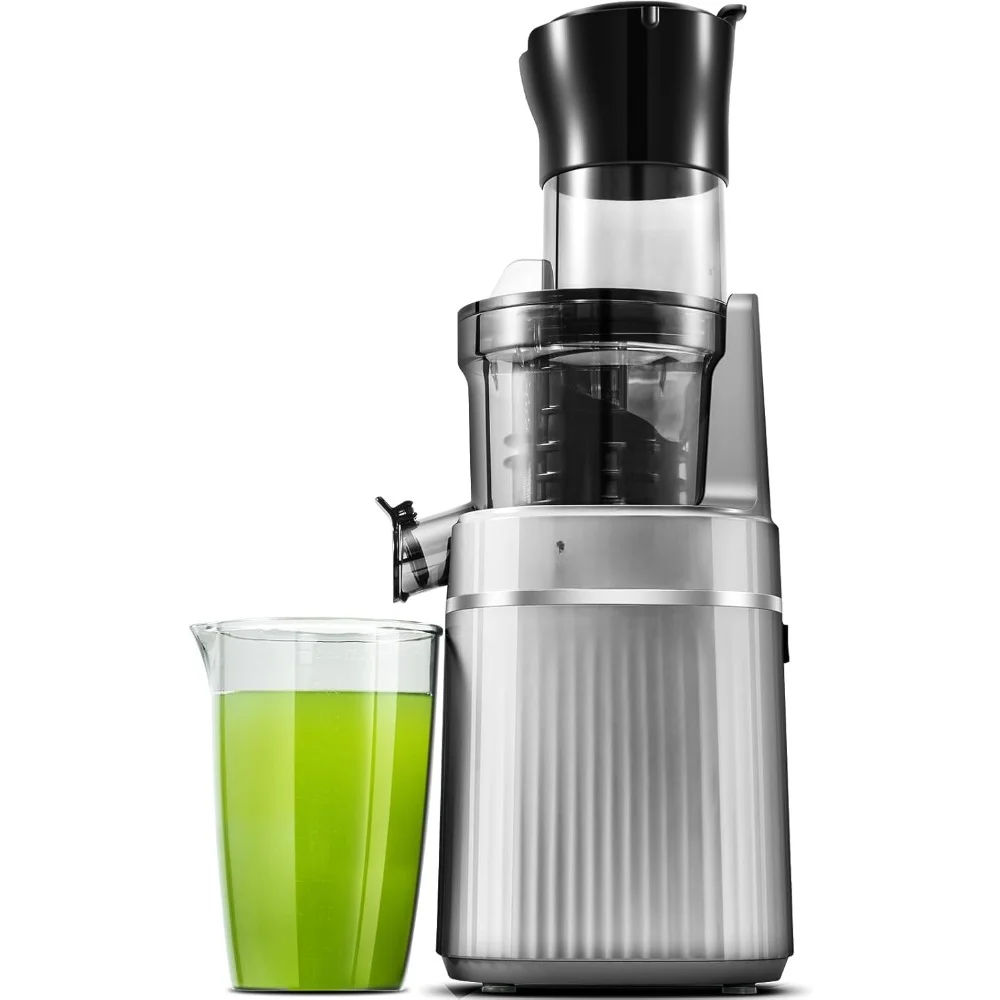 HAOYUNMA Masticating Juicer Machine, 2-In-1 Cold Press Juicer with Large Feed Chute for Juice & Ice Cream, Powerful Slow