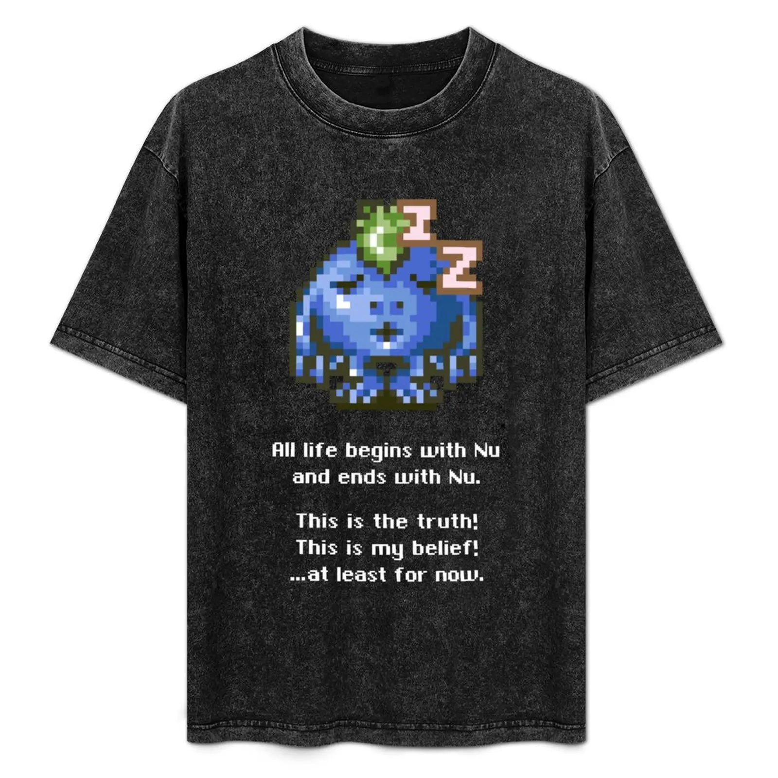 This Is the Truth T-Shirt Comfortable Workout Short Sleeve Shirt