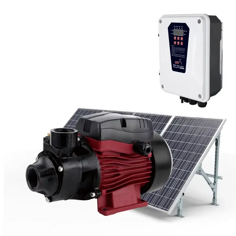 

Zri Mini Bore Solar Water Pump Centrifugal Inverter Brushless DC Motor Surface Aluminium Cast Iron High Efficiency MPPT