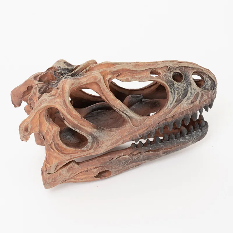 Resin figurine, realistic fossilized dinosaur skull, decorative craft, home toy, Tyrannosaurus Rex decoration, American-style ho