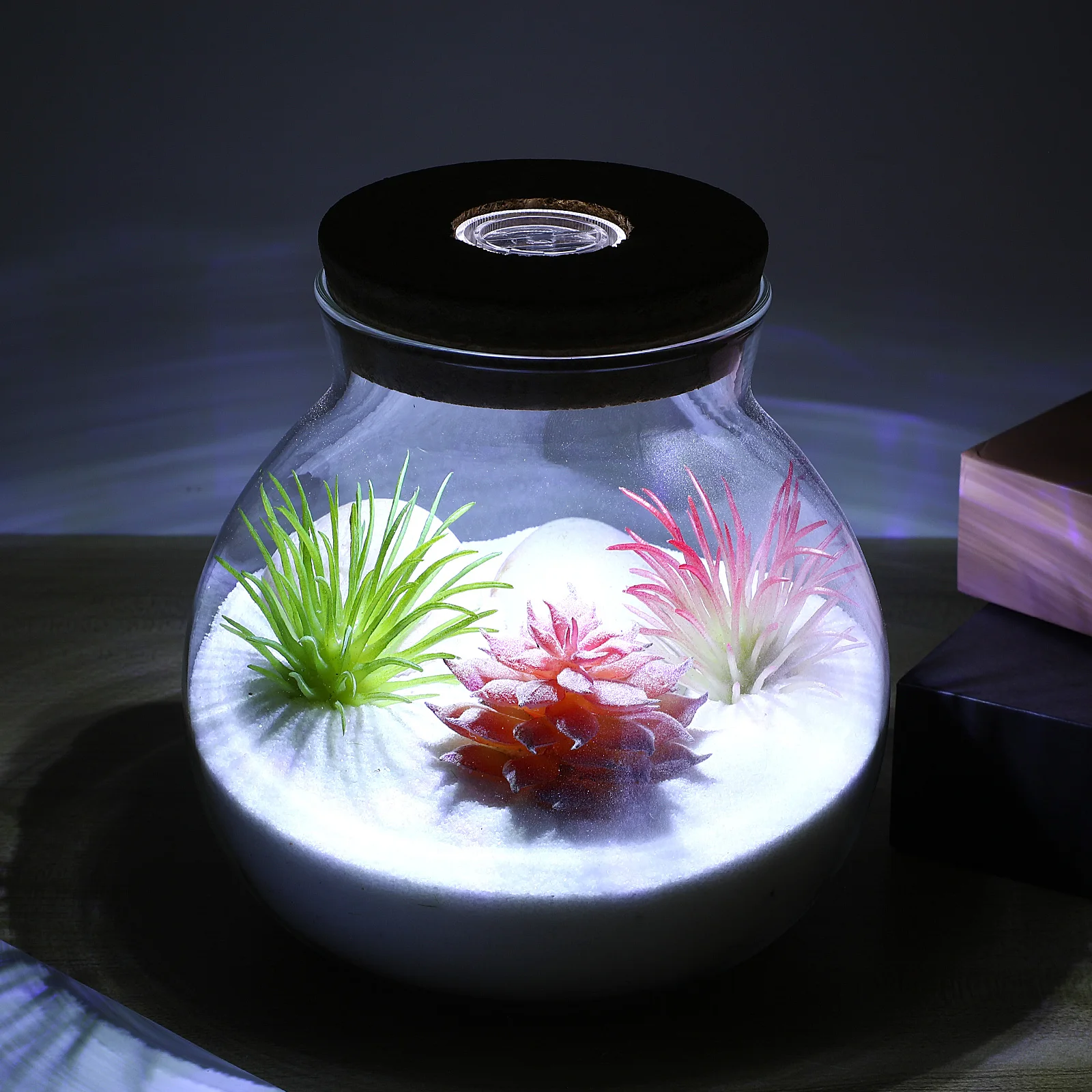 LED Light Ecological Bottle Premium Craftsmanship Cylindrical Glass DIY Landscape Bottle for Creative Indoor Decor