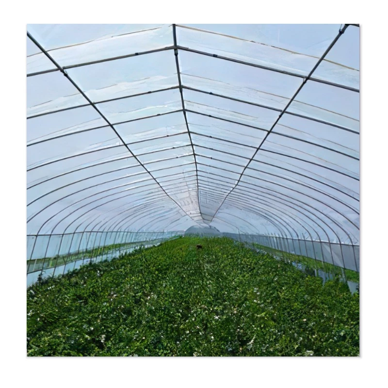 

Shading Cloth Mesh Agricultural Shade Nets 70% Hdpe Greenhouse Dark Green Agriculture Shades Netting for Green House Greenhouse