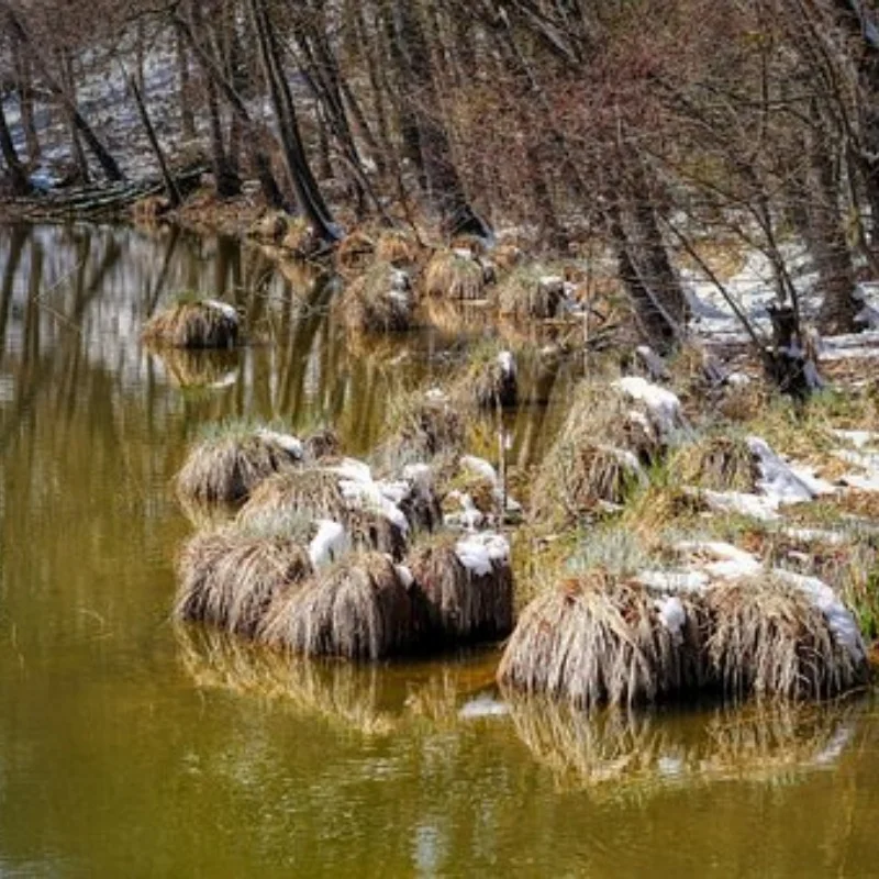 Placa de auto-ajuda 7 em 1, caixa de tanque de combustível, antena, caixa de combustível, pá, gato de elevação para trxs hsp redcat rc4wd tamiya scx10 rc carro