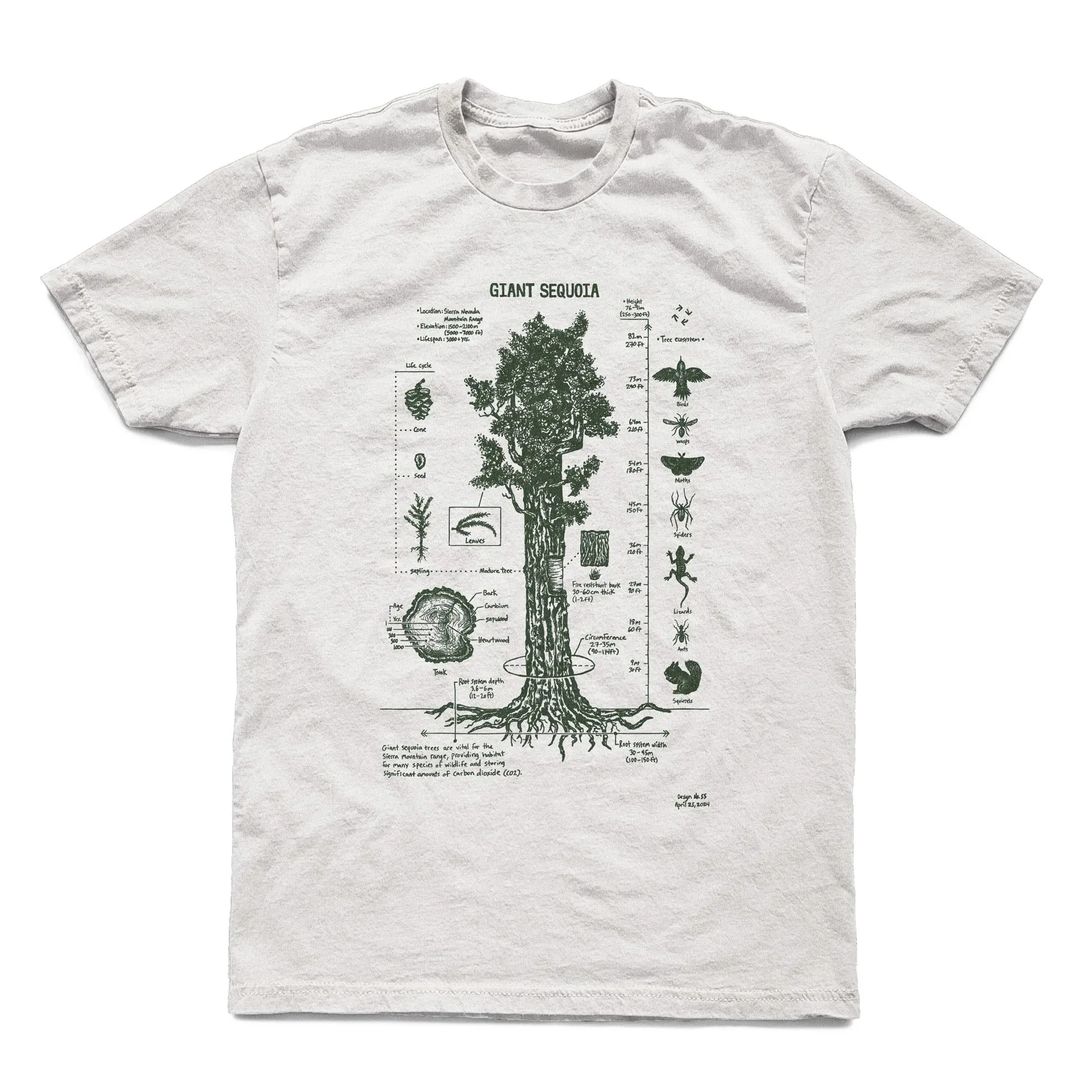 Giant Sequoia Botanical Diagram Tshirt Original Hand Drawn Sequoia Diagram Hand Screen Printed Botany Diagram Men Clothing