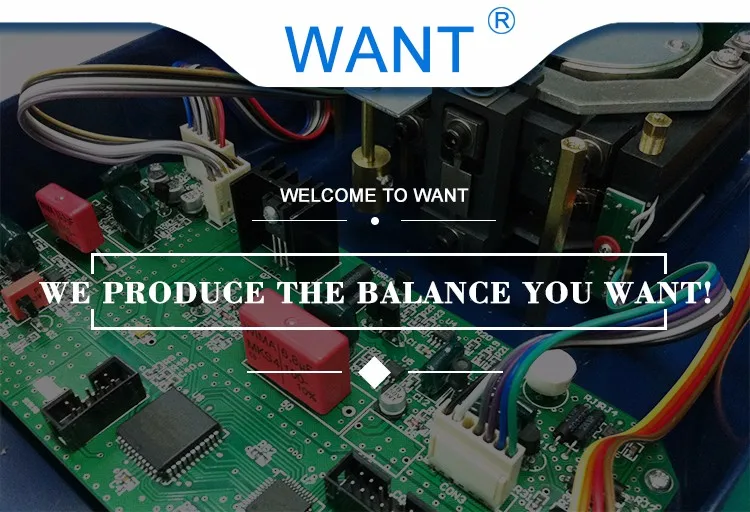 Electronic Balance 0.01g Electronic Balance Scale Digital Precision Electronic Balance