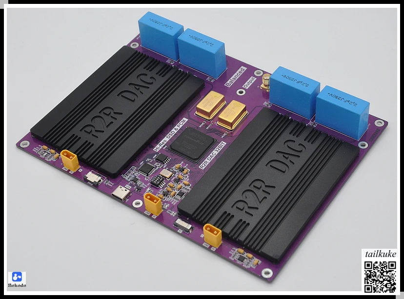 

True Balanced R2R DSD PCM DAC Fully Discrete 32-bit Decoding Dual Decoding TCXO Clock