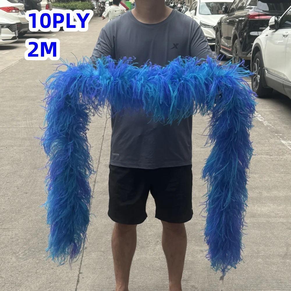 Customized Ostrich feather boa 2 Meters Ribbon trims Decoration pluma Boa Scarf for Party Festival Dress Skirt Tops Accessory