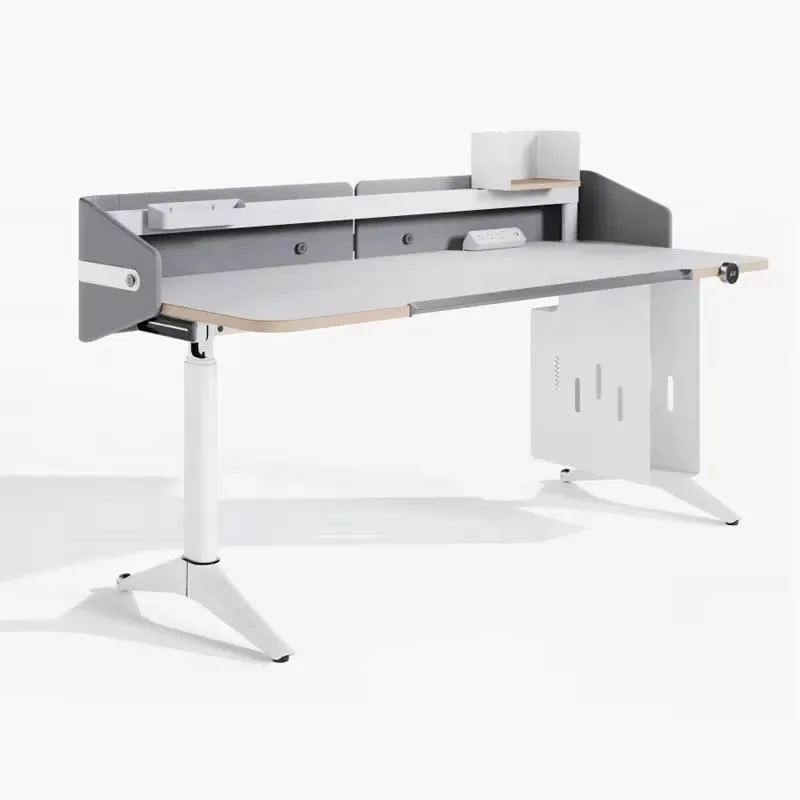 Modern Adjustable Standing Desk with 3 Stage Silent Motor Wooden Top and File Storage Cabinet for Lobby Office Use