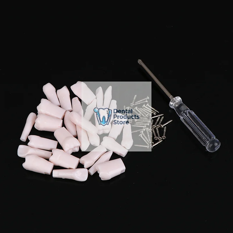 

28 шт., сменные зубы Typodont, съемные ввинчивающиеся стандартные зубы для подготовки стоматологии, обучение, обучение