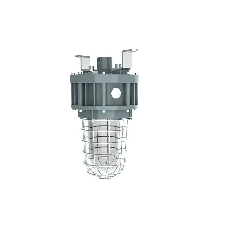 for  Class 1 Tempered Globe Glass Stainless Steel Protective Explosion Proof Lamp 20W 30W 40W Listed