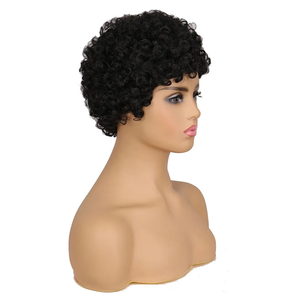 Fashion Trend Short Curly Hair African Small Curly Ladies Wig Head Covers Natural Color Black Hair Head Covers Wigs