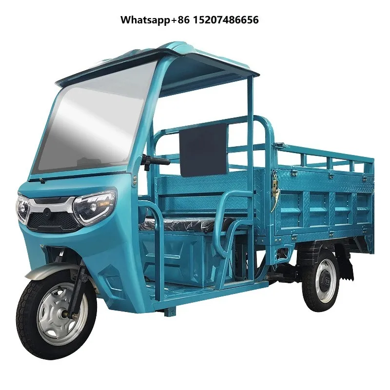 Keyu Bulk Purchases Cheap Thickened Cargo Hold 3 Wheel Enclosed 800w Cargo Electric Tricycle