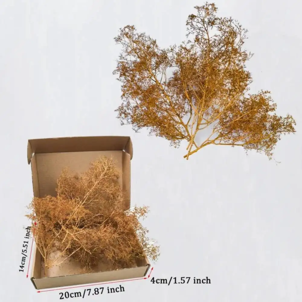 Árboles en miniatura, ramas de árboles realistas con forma de mar para hacer árboles Diy/paisaje de guerra/dioramas ferroviarios/paisaje/terren