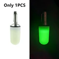 Luminous Buckle