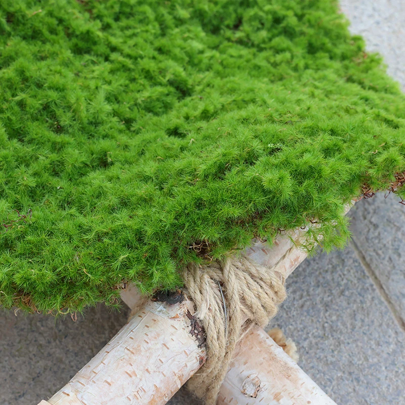 

3/10pcs Artificial Moss Green Fake Plant Micro Landscape Decoration Simulation Moss Grass Turf Lawn for Home Garden Wall Decor