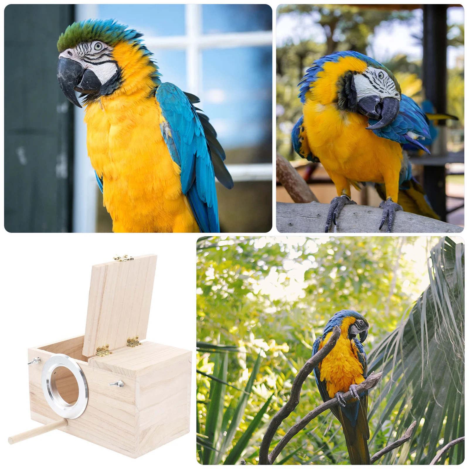 

Wooden Small Wild Bird Nest Box Durable Nesting Feeding Bird Nesting Holder for Songbirds and Parrots